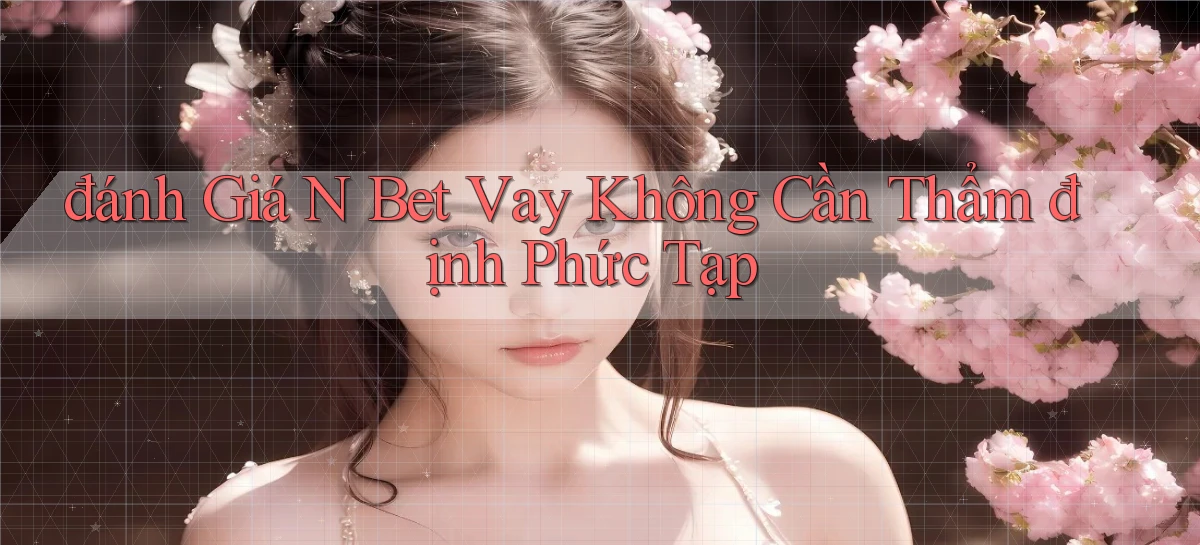 đánh giá n bet vay không cần thẩm định phức tạp