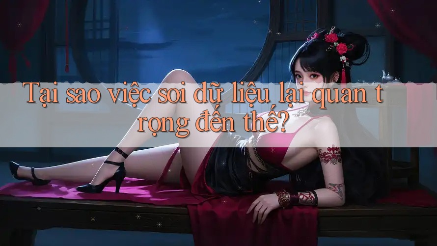 Tại sao việc soi dữ liệu lại quan trọng đến thế?