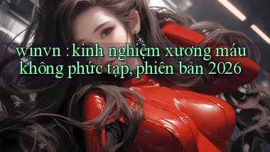 winvn kinh nghiệm xương máu không phức tạp, phiên bản 2026